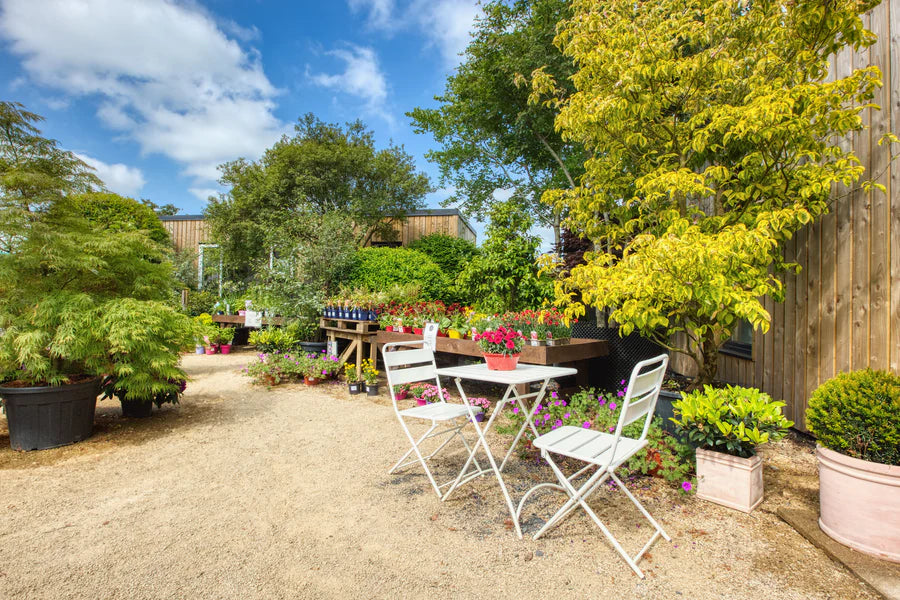 THE COURTYARD