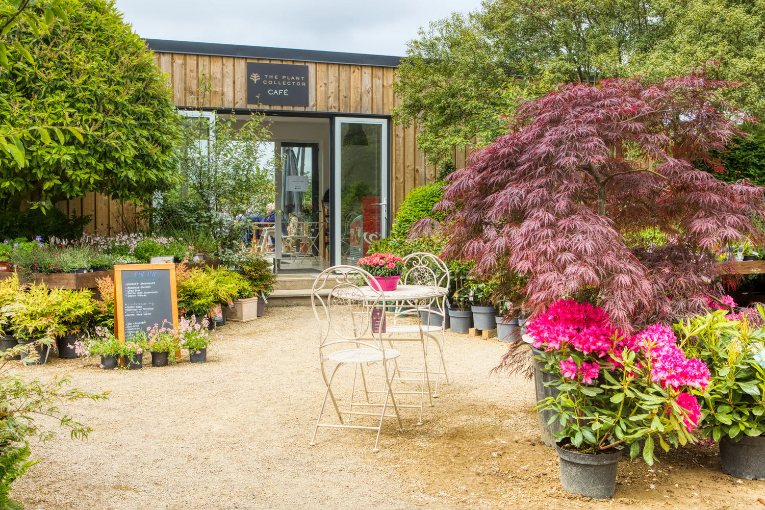 OUR CAFÉ AND SEATING AREAS