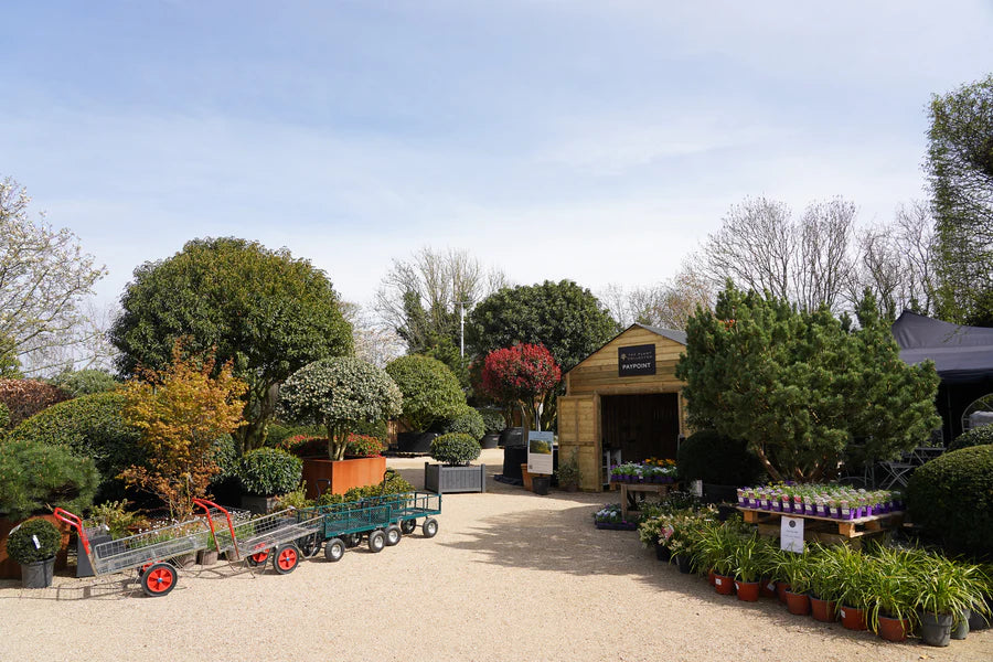 RETAIL HORTICULTURIST