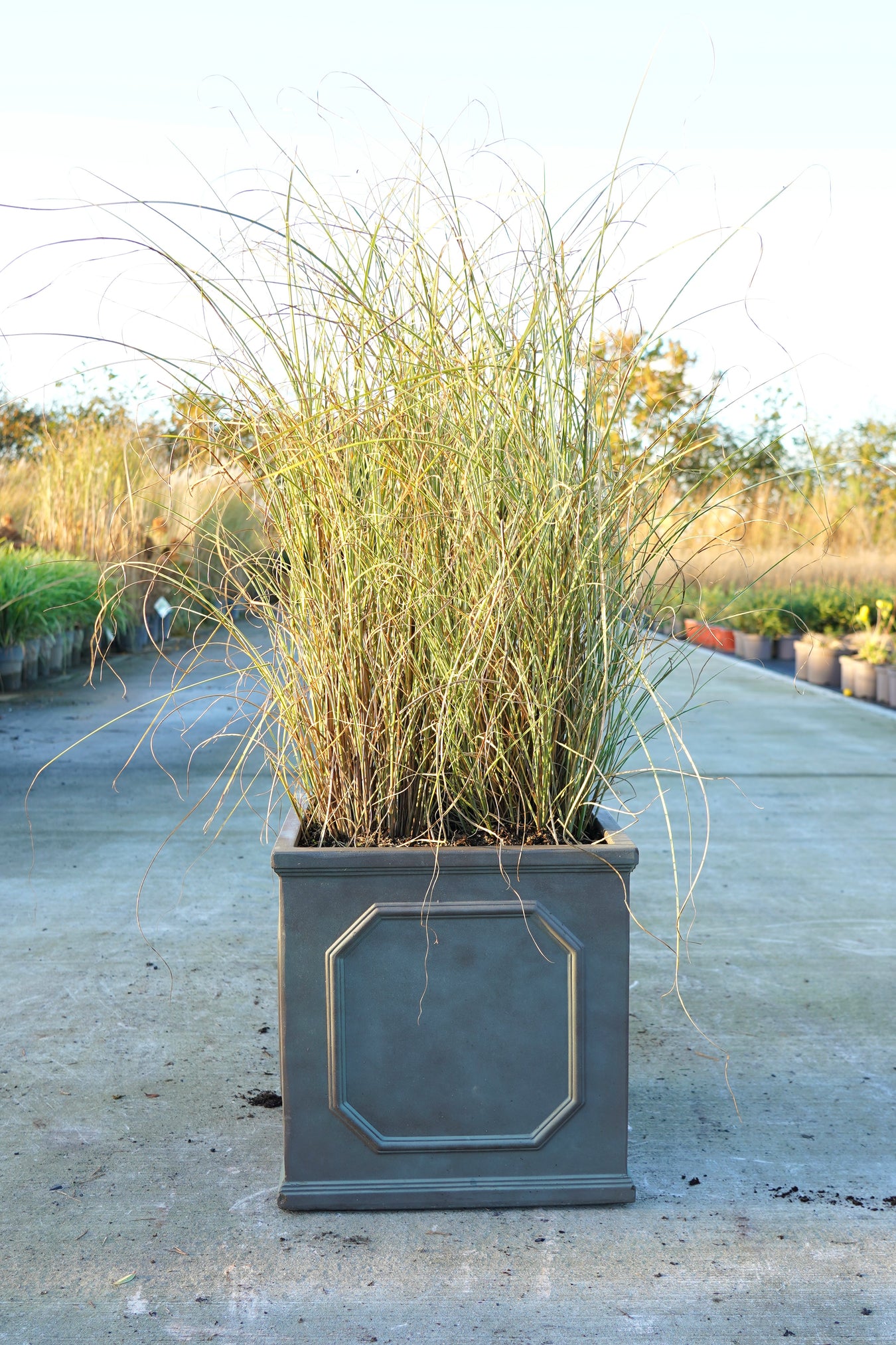 Fiber Clay Planters