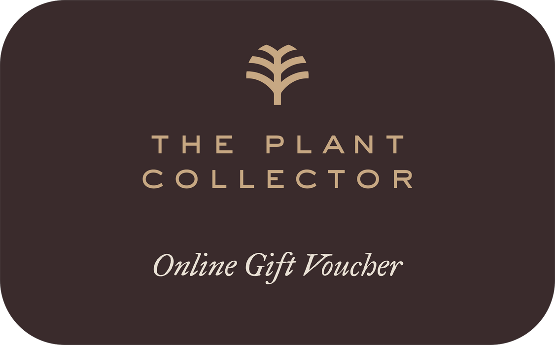 The Plant Collector Gift Card