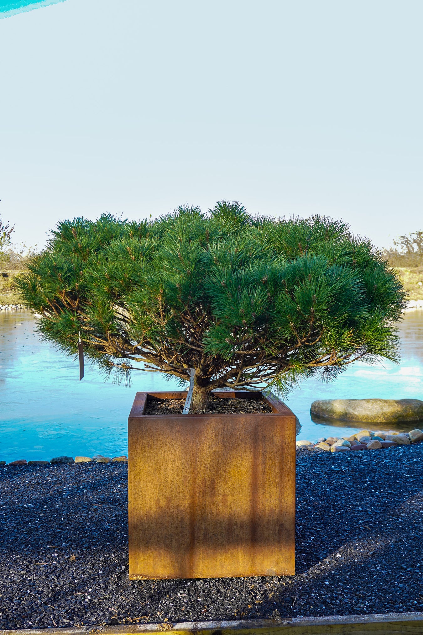 Corten Steel planters