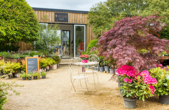 the-plant-collector-cafe