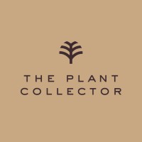 The Plant Collector logo